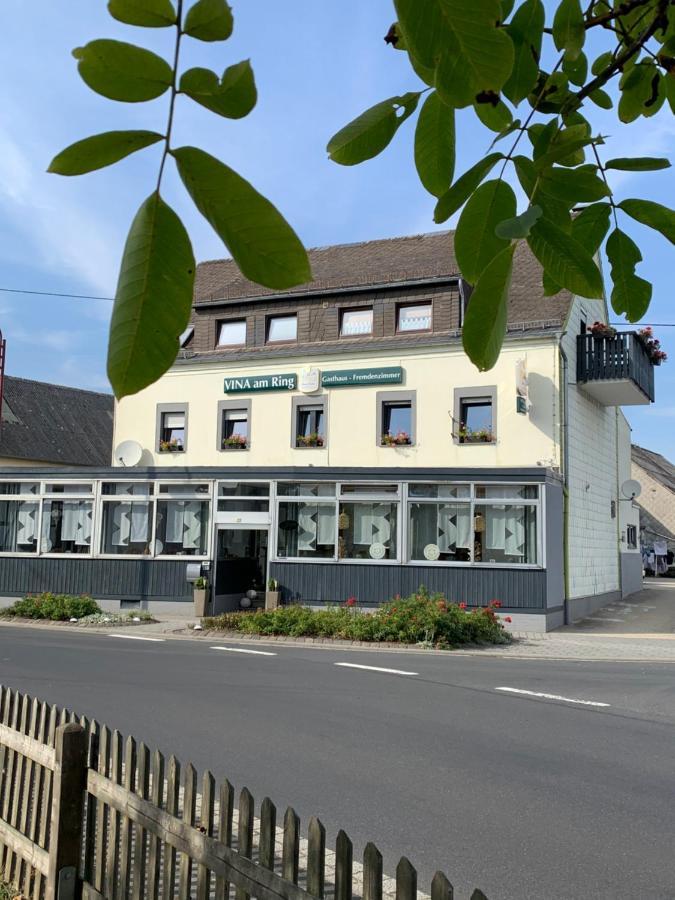 Mannebach  Vina Am Ring Bed & Breakfast エクステリア 写真